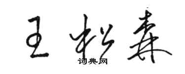 駱恆光王松森草書個性簽名怎么寫