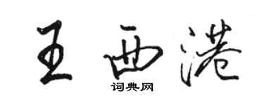 駱恆光王西港行書個性簽名怎么寫