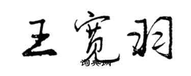 曾慶福王寬羽行書個性簽名怎么寫