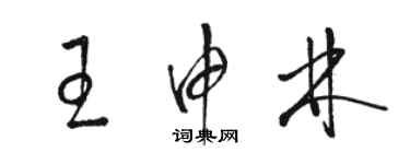 駱恆光王申林草書個性簽名怎么寫