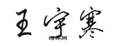 駱恆光王宇寒行書個性簽名怎么寫