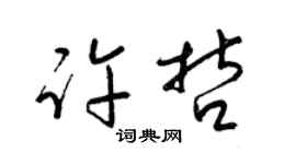 梁錦英許哲草書個性簽名怎么寫