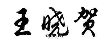 胡問遂王曉賀行書個性簽名怎么寫