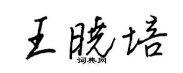 王正良王曉培行書個性簽名怎么寫