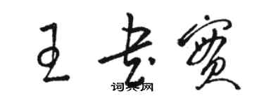駱恆光王書實草書個性簽名怎么寫
