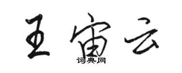 駱恆光王宙雲行書個性簽名怎么寫