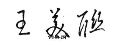 駱恆光王美聯草書個性簽名怎么寫