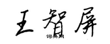 王正良王智屏行書個性簽名怎么寫
