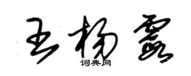 朱錫榮王楊霞草書個性簽名怎么寫