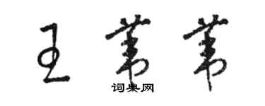 駱恆光王葦葦草書個性簽名怎么寫