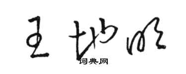 駱恆光王地明草書個性簽名怎么寫