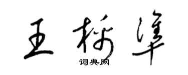 梁錦英王棉準草書個性簽名怎么寫