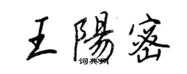 王正良王陽密行書個性簽名怎么寫
