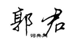 王正良郭君行書個性簽名怎么寫