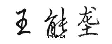 駱恆光王能壟行書個性簽名怎么寫