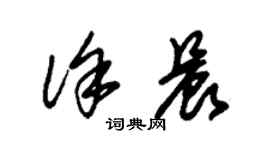 朱錫榮徐晨草書個性簽名怎么寫