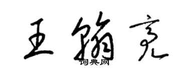 梁錦英王翰亮草書個性簽名怎么寫