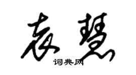 朱錫榮袁慧草書個性簽名怎么寫