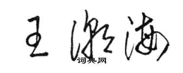 駱恆光王潮海草書個性簽名怎么寫