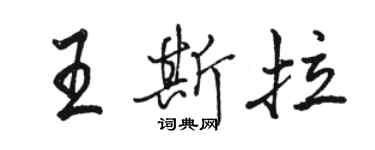 駱恆光王斯拉行書個性簽名怎么寫