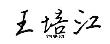 王正良王培江行書個性簽名怎么寫