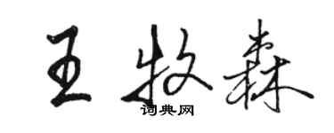 駱恆光王牧森行書個性簽名怎么寫