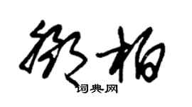 朱錫榮鄧柏草書個性簽名怎么寫