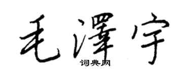 王正良毛澤宇行書個性簽名怎么寫