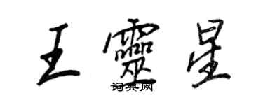 王正良王靈星行書個性簽名怎么寫