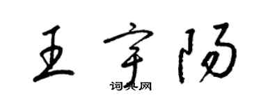 梁錦英王宇陽草書個性簽名怎么寫