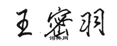 駱恆光王密羽行書個性簽名怎么寫