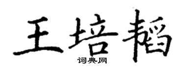 丁謙王培韜楷書個性簽名怎么寫
