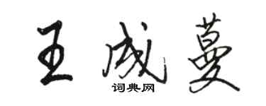 駱恆光王成蔓行書個性簽名怎么寫