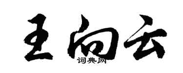 胡問遂王向雲行書個性簽名怎么寫