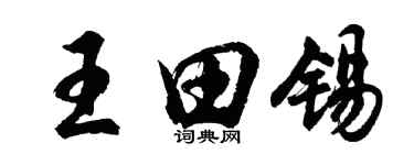 胡問遂王田錫行書個性簽名怎么寫