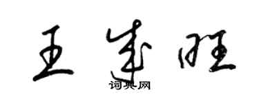 梁錦英王成旺草書個性簽名怎么寫