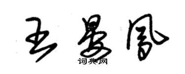 朱錫榮王晏鳳草書個性簽名怎么寫