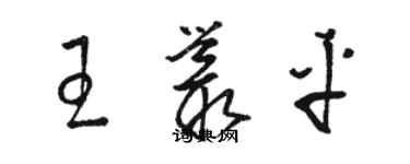 駱恆光王叢平草書個性簽名怎么寫