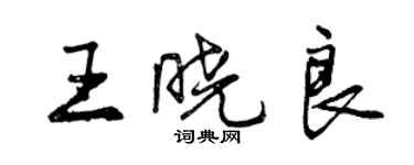 曾慶福王曉良行書個性簽名怎么寫