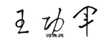 駱恆光王功軍草書個性簽名怎么寫