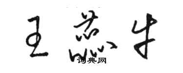 駱恆光王蕊牛草書個性簽名怎么寫