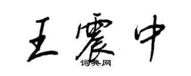 王正良王震中行書個性簽名怎么寫