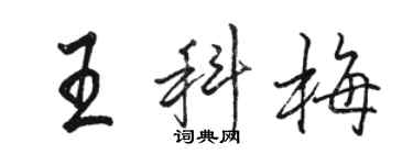 駱恆光王科梅行書個性簽名怎么寫