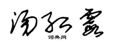 朱錫榮湯紅霞草書個性簽名怎么寫