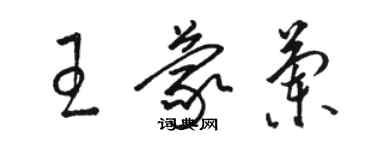 駱恆光王蒙蘭草書個性簽名怎么寫