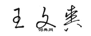 駱恆光王文爽草書個性簽名怎么寫