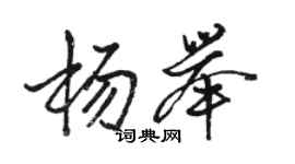 駱恆光楊舉行書個性簽名怎么寫