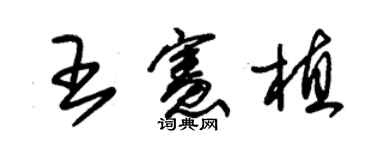 朱錫榮王憲植草書個性簽名怎么寫