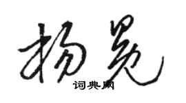駱恆光楊冕草書個性簽名怎么寫