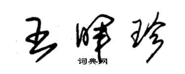 朱錫榮王暉珍草書個性簽名怎么寫